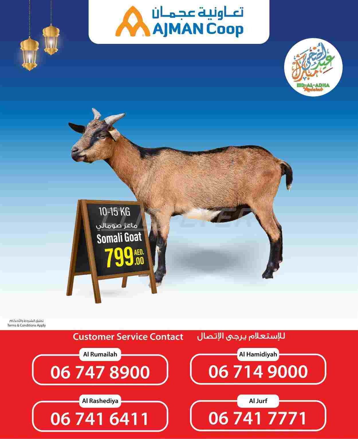 offerimage