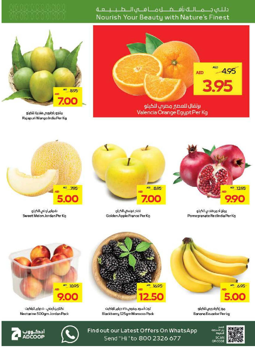 offerimage