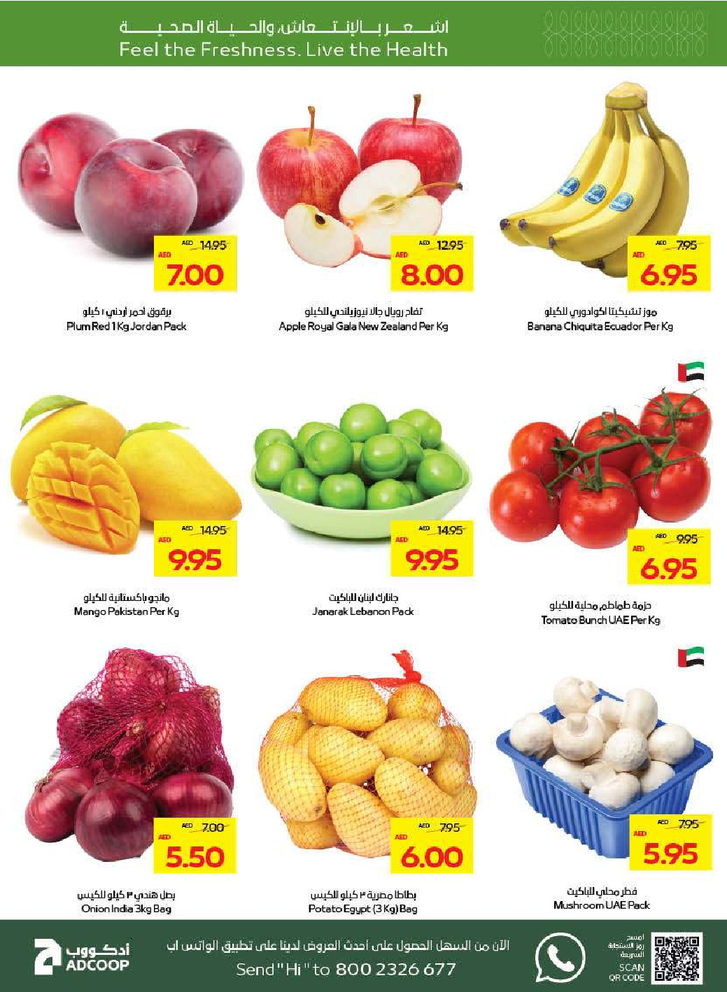 offerimage