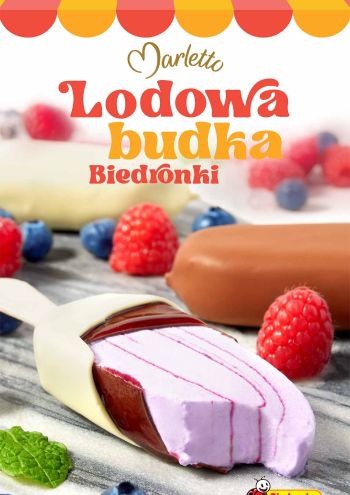 biedronkapl offer