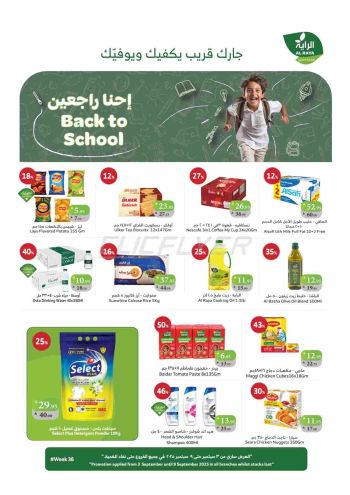 Al Raya Market offer thumb