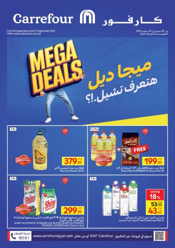 Carrefour offer thumb