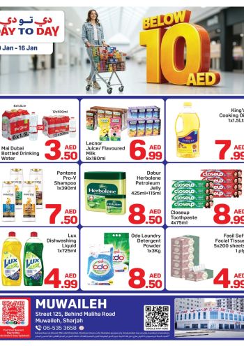 DaytoDay offer thumb